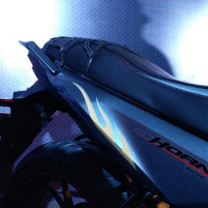 Honda Hornet