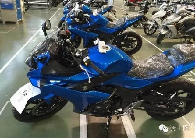 Suzuki GSX R250 side profile