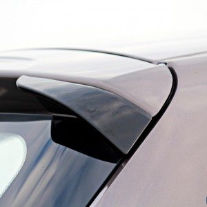 Tata Zica Spoiler