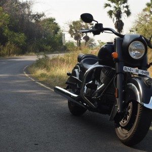 Indian Dark Horse front view
