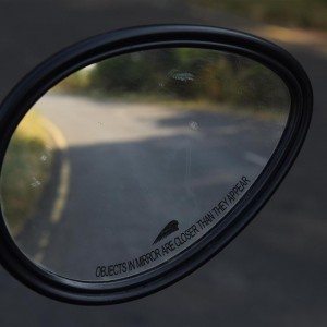 Indian Dark Horse mirror