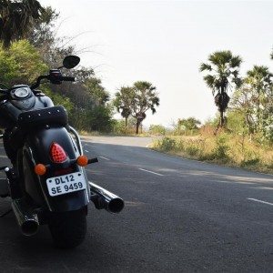 Indian Dark Horse rear view