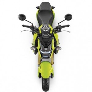 Honda Grom MSX  SF Profile