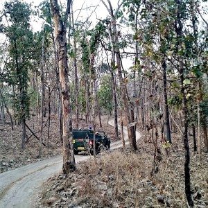 Mahindra Wild Escape  Day