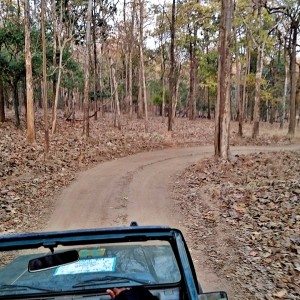 Mahindra Wild Escape  Day