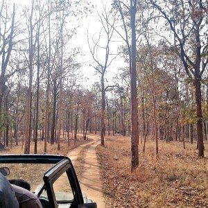 Mahindra Wild Escape  Day