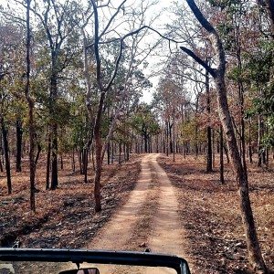 Mahindra Wild Escape  Day