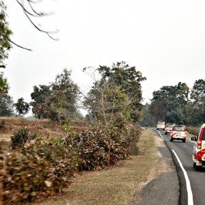 Mahindra Wild Escape  Day