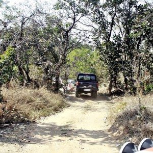 Mahindra Wild Escape  day