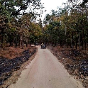 Mahindra Wild Escape  day