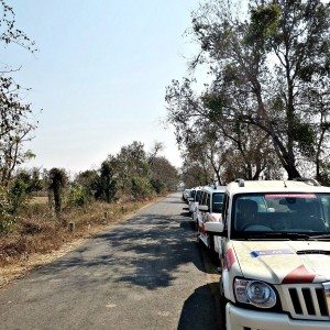 Mahindra Wild Escape  day