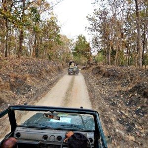 Mahindra Wild Escape  day