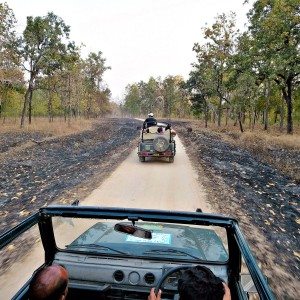 Mahindra Wild Escape  day