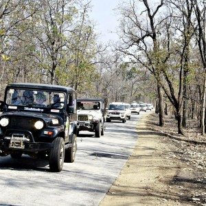 Mahindra Wild Escape  day