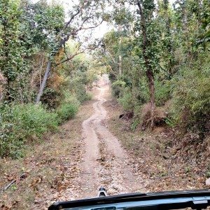 Mahindra Wild Escape  day