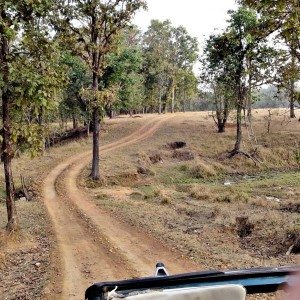 Mahindra Wild Escape  day