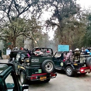 Mahindra Wild Escape  day