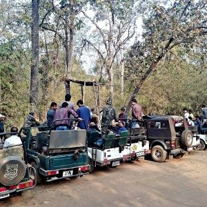 Mahindra wild escape  day