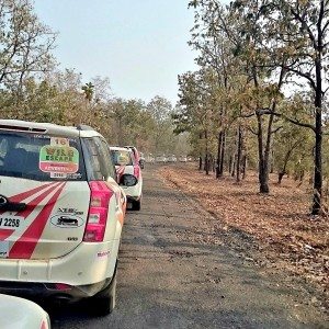 Mahindra wild escape Day