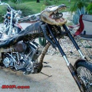 wacky motorcycles