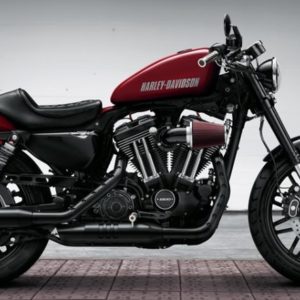 Harley Davidson Sportster Roadster XLCX