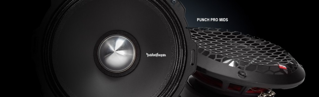 Rockford Fosgate (5)