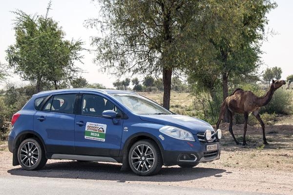 Suzuki S-Cross AllGrip 4WD (10)