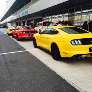 Ford Mustang India launch