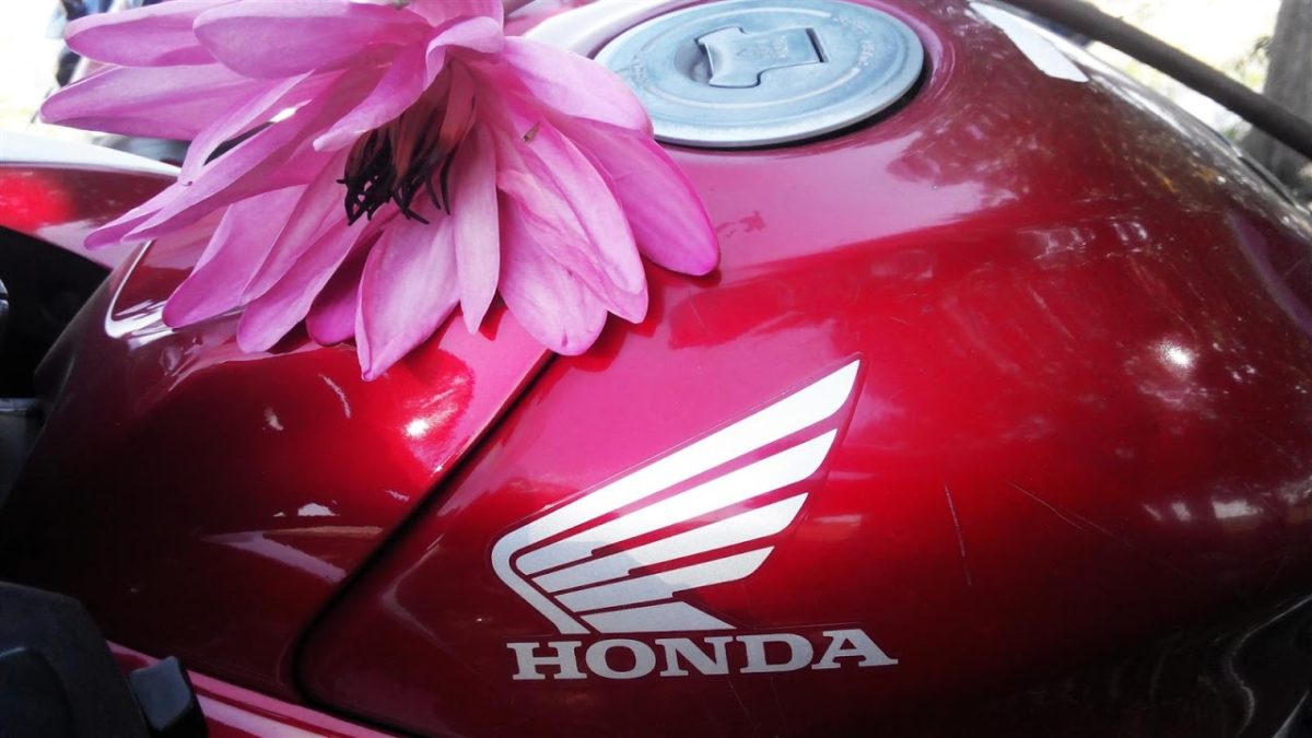 Honda CBRR