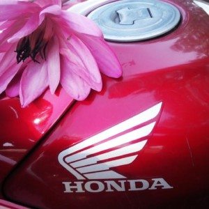 Honda CBRR