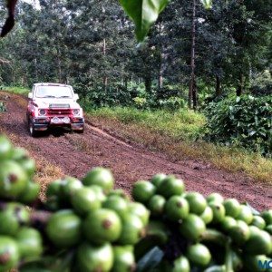 Maruti Suzuki Dakshin Dare