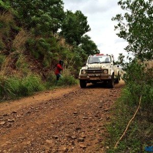 Maruti Suzuki Dakshin Dare