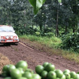 Maruti Suzuki Dakshin Dare