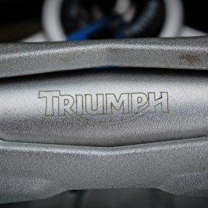 Triumph Speed Triple  details