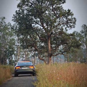 new Audi RS Performance India review