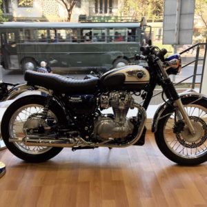 Kawasaki W spotted in India
