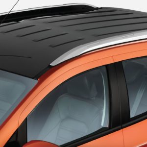 Ford EcoSport Platinum Edition with Black Painted Roof