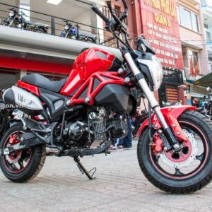 GPX Demon Ducati Monster