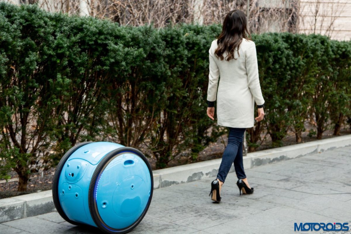 Piaggio Gita