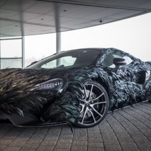 beautiful McLaren Feather Wrap