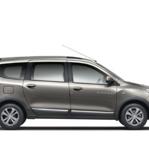 Stepway Side Profile Shot BROWNISH GREY V