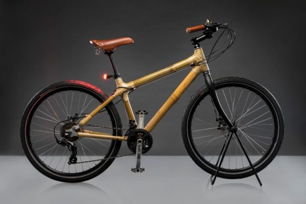 Bambusa Urban Brown bicycle