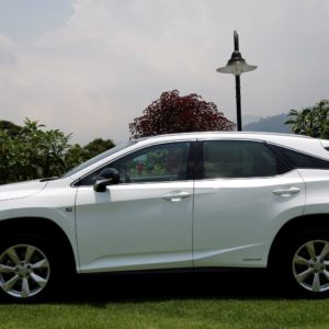 LexusRXh sideview doors wheels