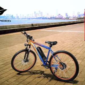 LightSpeed Electric Bikes Marine Drive