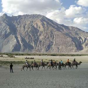 Nubra valley sand dunes hunder