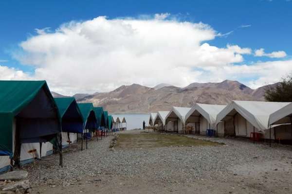 Pangong Stay