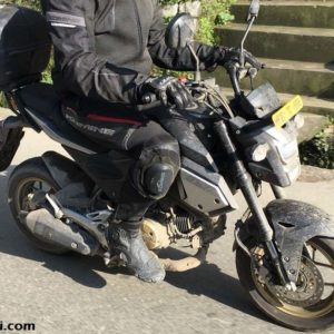 Honda MSX Grom Spied In India