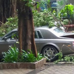 Tree branch falls on Rolls Royce Phantom