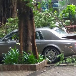 Tree branch falls on Rolls Royce Phantom