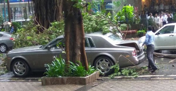 Tree branch falls on Rolls Royce Phantom